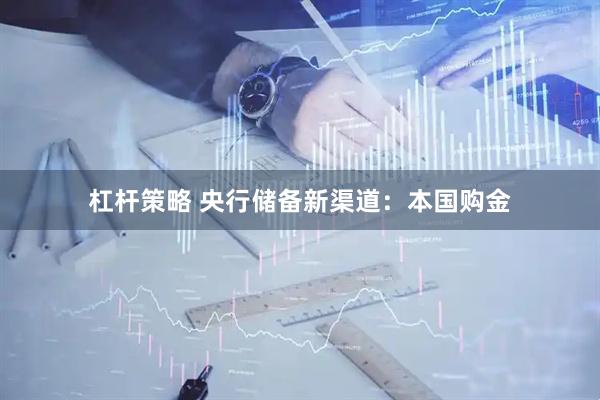 杠杆策略 央行储备新渠道：本国购金