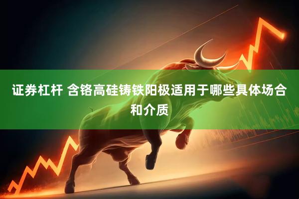 证券杠杆 含铬高硅铸铁阳极适用于哪些具体场合和介质